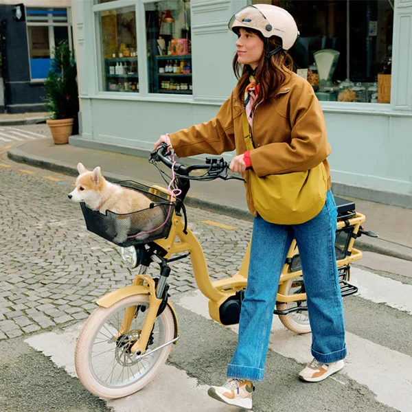 location-morbitrotti-velo-trottinette Balade à vélo électrique Morbitrotti avec un chien à Vannes